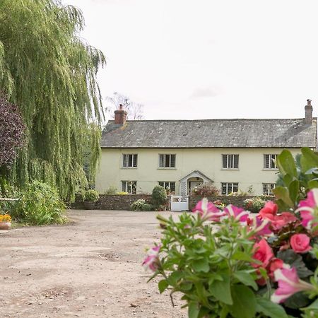 Lower Ford Farm Panzió Cullompton Kültér fotó