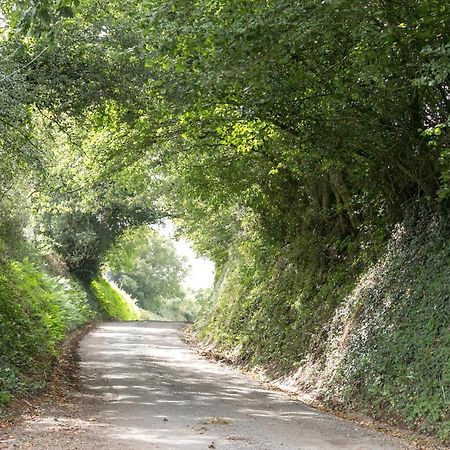 Lower Ford Farm Panzió Cullompton Kültér fotó