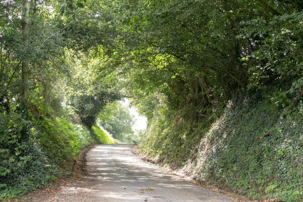 Lower Ford Farm Panzió Cullompton Kültér fotó