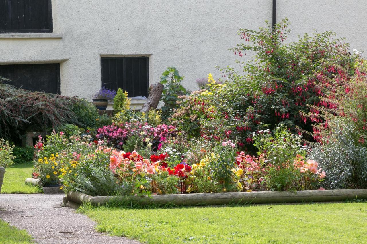 Lower Ford Farm Panzió Cullompton Kültér fotó