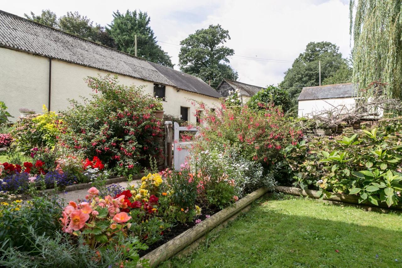 Lower Ford Farm Panzió Cullompton Kültér fotó